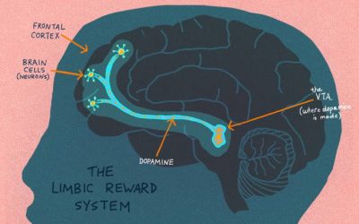 Vágyaink és motivációink