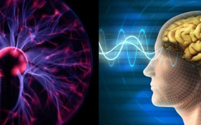 A valóság a tudat illúziója?