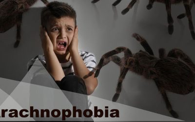 Mi az arachnofóbia?